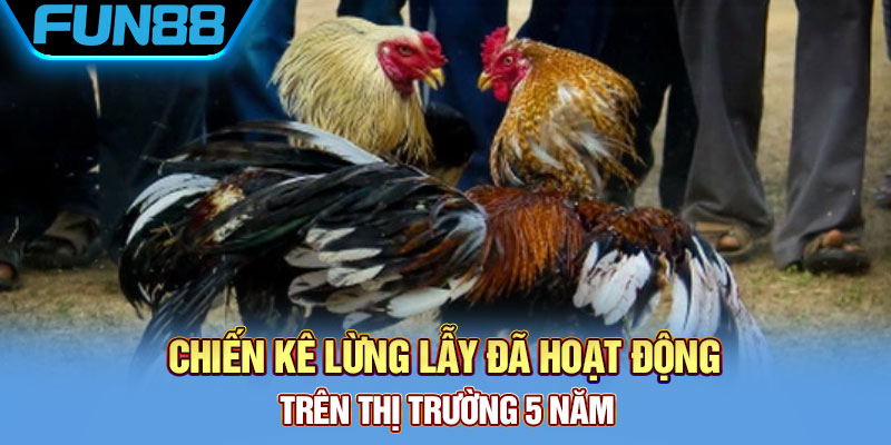 Xám thần kê là gì?