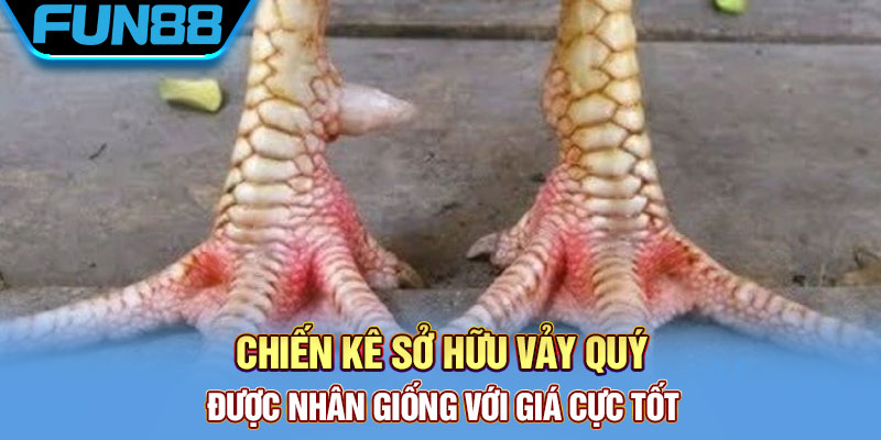 Chiến kê