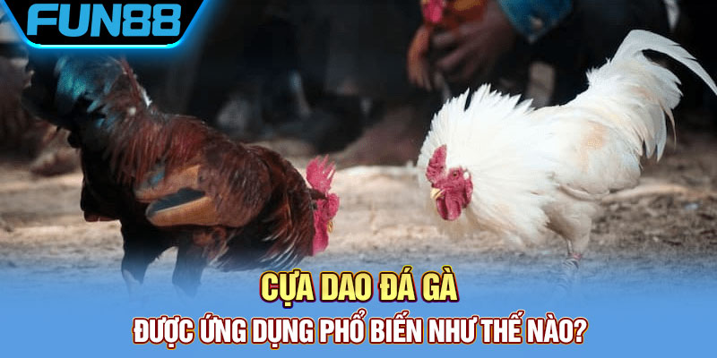 Lắp dao hoặc lắp sắt vào chân