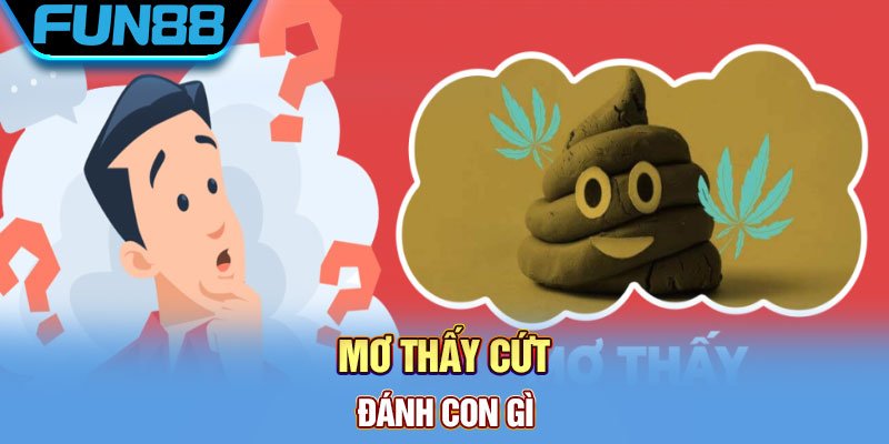 Con số nên đánh khi mơ thấy cứt