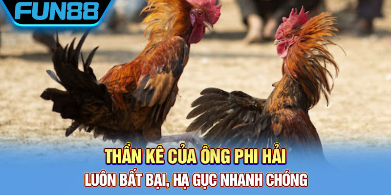 Thần kê dũng mãnh của ông Hoàng Phi Hải