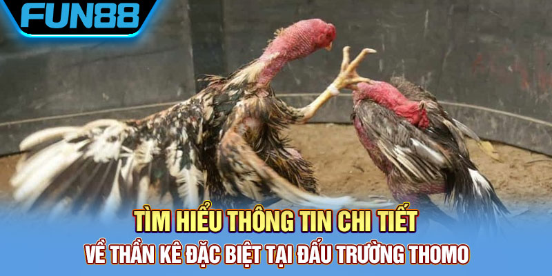 Thông tin chi tiết về gà xám thần