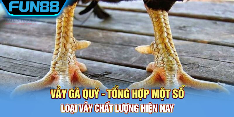 Vảy Gà Quý