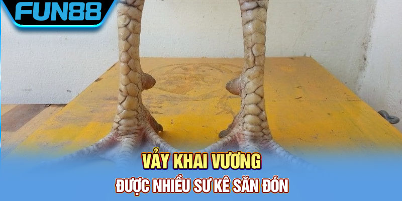 Vảy gà khai vương