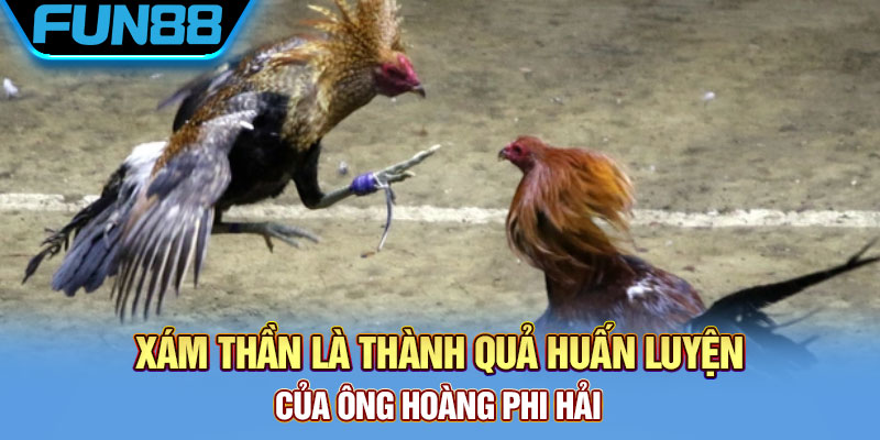 Tiểu sử của thần kê 